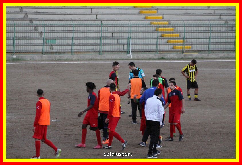 181111 Cepha_Milazzo 328_tn.JPG